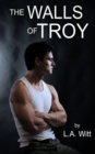 Image for The Walls of Troy