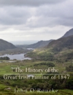 Image for History of the Great Irish Famine of 1847