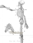 Image for Physiology