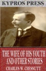 Image for Wife of his Youth and Other Stories of the Color Line