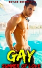 Image for Summer of Gay Love: First Time Gay