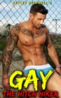 Image for Gay Hitch Hiker: First Time Gay