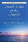 Image for Jewish Views of the Afterlife