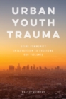 Image for Urban youth trauma  : using community intervention to overcome gun violence