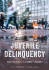 Image for Juvenile delinquency  : why do youths commit crime?