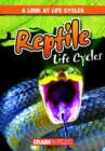 Image for Reptile Life Cycles