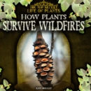 Image for How Plants Survive Wildfires
