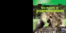 Image for Una manada de puercoespines (A Prickle of Porcupines)