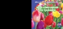Image for Mira como crecen los tulipanes! (Watch Tulips Grow)