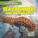 Image for Sea Cucumbers Are Brainless!