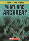 Image for What Are Archaea?