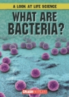Image for What Are Bacteria?