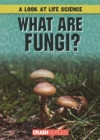 Image for What Are Fungi?