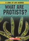 Image for What Are Protists?