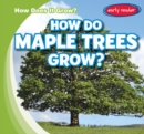 Image for How Do Maple Trees Grow?