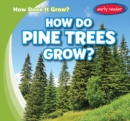 Image for How Do Pine Trees Grow?