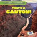 Image for That&#39;s a canyon!