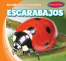 Image for Escarabajos (Beetles)