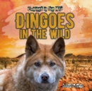 Image for Dingoes in the Wild