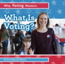 Image for What Is Voting?