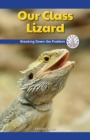 Image for Our Class Lizard
