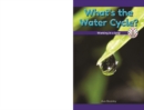 Image for What&#39;s the Water Cycle?