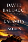 Image for A Calamity of Souls