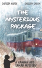 Image for The Mysterious Package : A Hannah and Tamar Mystery