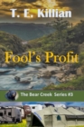 Image for Fool&#39;s Profit