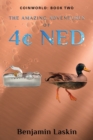 Image for The Amazing Adventures of 4[ Ned