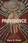 Image for Providence : A Biblical, Historical, and Theological Account