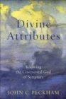 Image for Divine attributes  : knowing the covenantal God of scripture