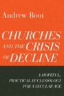 Image for Churches and the crisis of decline  : a hopeful, practical ecclesiology for a secular age