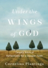 Image for Under the wings of God  : twenty biblical reflections for a deeper faith