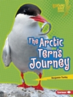 Image for Arctic Tern&#39;s Journey
