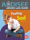 Image for Feeling Sad