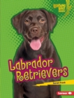 Image for Labrador Retrievers