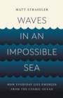 Image for Waves in an Impossible Sea