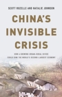 Image for China&#39;s Invisible Crisis : How a Growing Urban-Rural Divide Could Sink the World&#39;s Second-Largest Economy