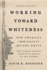 Image for Working Toward Whiteness