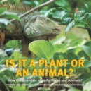 Image for Is It a Plant or an Animal? How Do Scientists Identify Plants and Animals? Compare and Contrast Biology Grade 3 Children&#39;s Biology Books