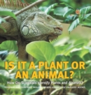 Image for Is It a Plant or an Animal? How Do Scientists Identify Plants and Animals? Compare and Contrast Biology Grade 3 Children&#39;s Biology Books