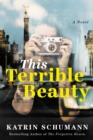 Image for This Terrible Beauty : A Novel