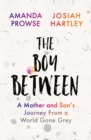 Image for The Boy Between