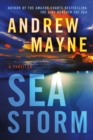 Image for Sea storm  : a thriller