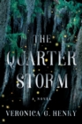 Image for The quarter storm  : a novel