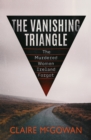 Image for The Vanishing Triangle