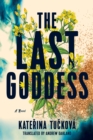 Image for The Last Goddess : A Novel