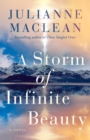 Image for A storm of infinite beauty  : a novel