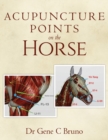 Image for Acupuncture Points on the Horse
